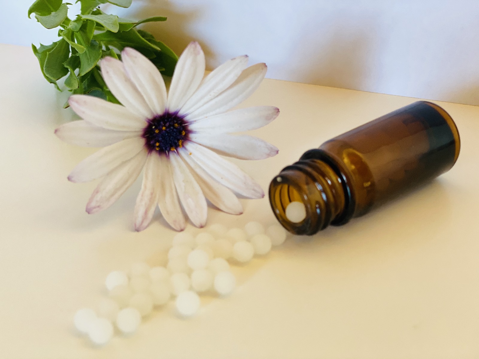 Homeopathic remedies and consultation